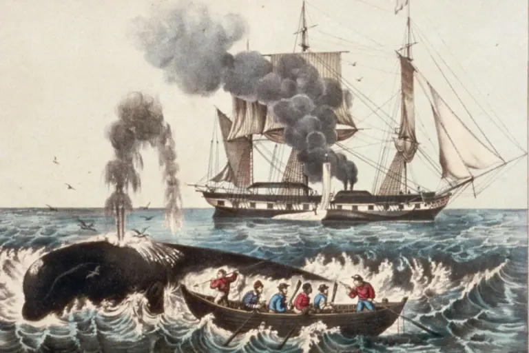 Как насилие создало современный мир: тёмная сторона индустриализации