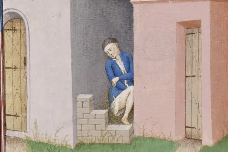 Были ли туалеты в Средние века такими грязными, как вы думаете?