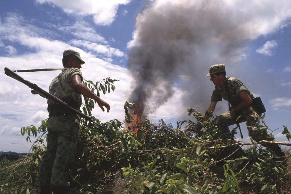 Солдаты уничтожают плантацию коки огнём, Латинская Америка, 1989 год, борьба с производством наркотиков