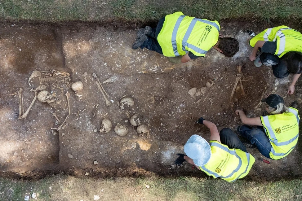 Археологи в защитных жилетах расчищают человеческие скелеты в прямоугольной погребальной яме, вид сверху
