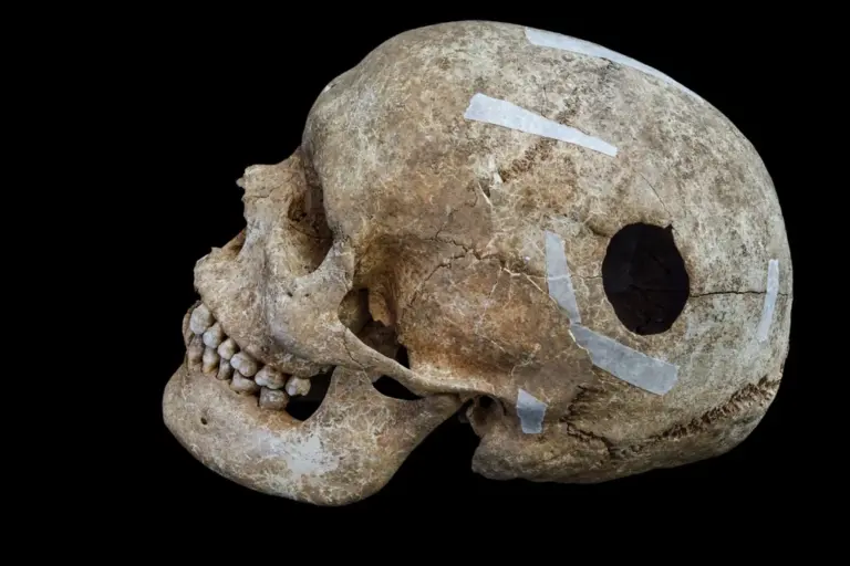 Погребение эпохи викингов: тайна захоронения в Уондлбери