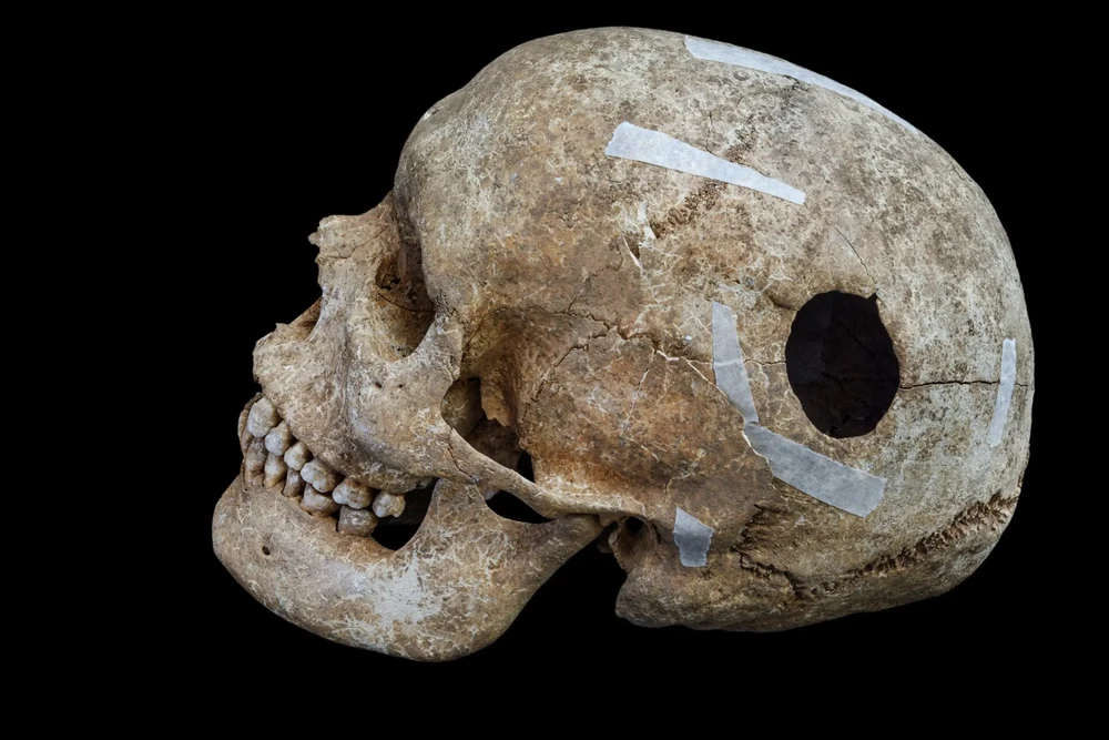 Погребение эпохи викингов: тайна захоронения в Уондлбери