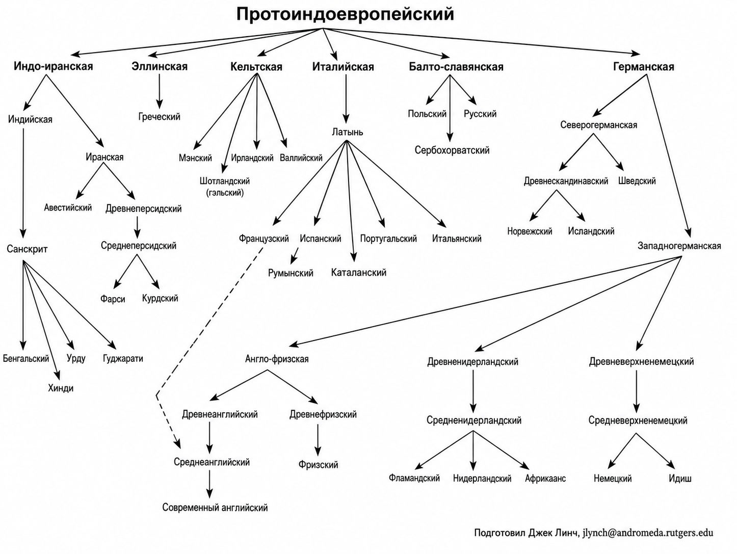 Схема индоевропейской языковой семьи с ветвями от праиндоевропейского языка к санскриту и современным языкам