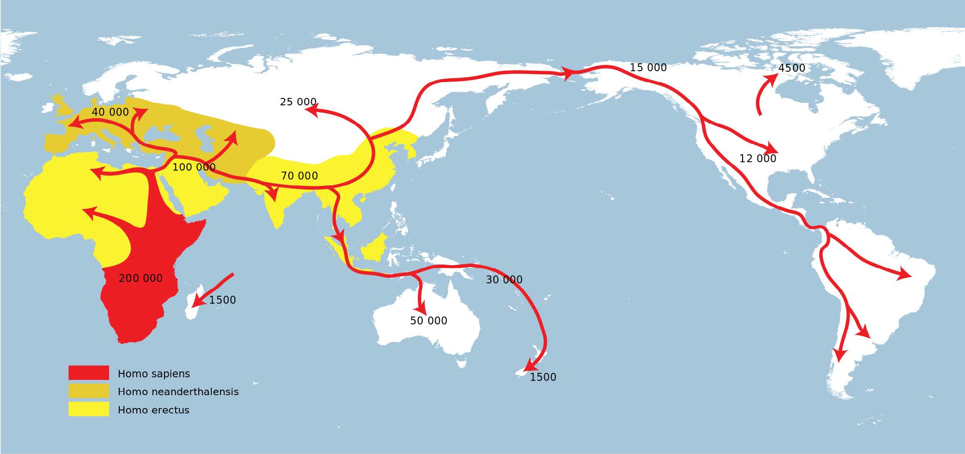 Мировая карта с красными стрелками миграций Homo sapiens и цветными ареалами неандертальцев и Homo erectus